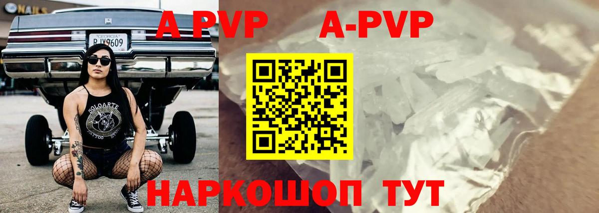 Alfa_PVP СК КРИС  где найти   Кировск  Альфа ПВП СК  Вход с VPN 
