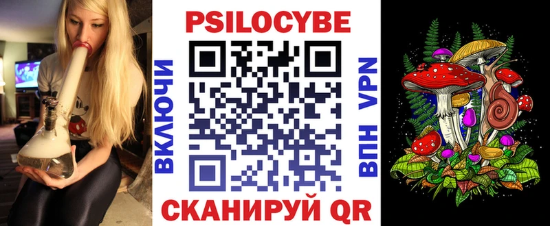 KRAKEN онион  Кировск  Псилоцибиновые грибы Psilocybe 