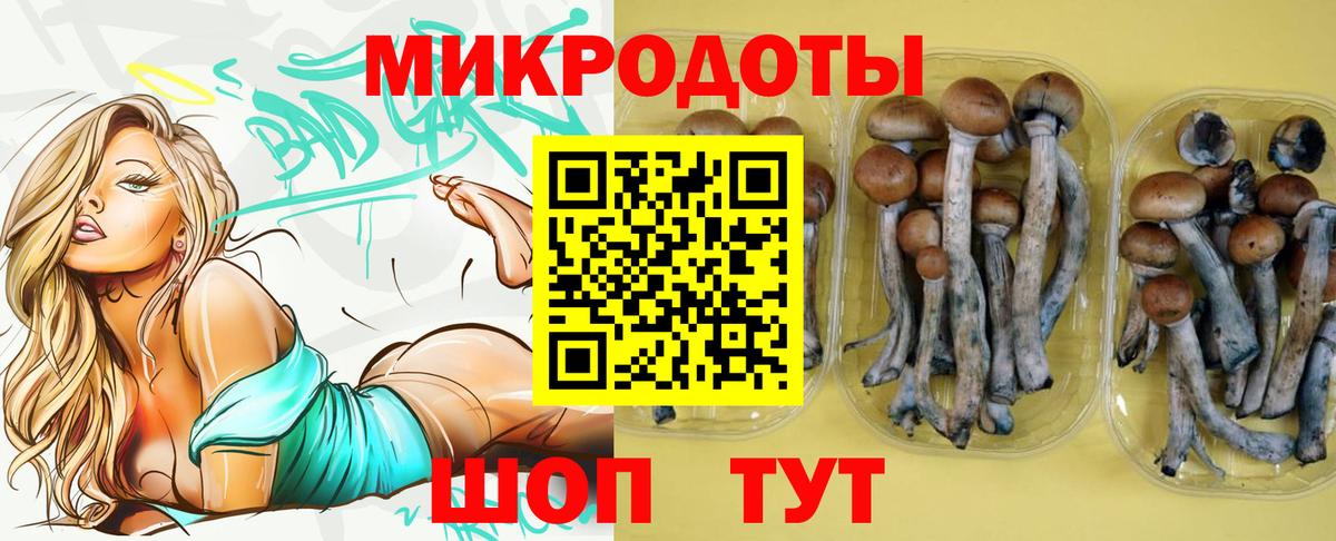 Псилоцибиновые грибы прущие грибы  Вход с VPN  Кировск 