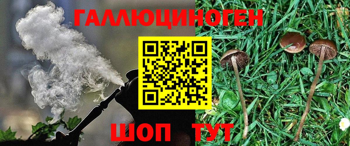 Галлюциногенные грибы мухоморы Кировск